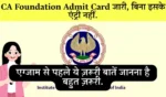 Icai Ca Foundation Admit Card 2025 Download Process