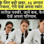 Icsi Cs June 2025 Result Executive Professional Scorecard Check