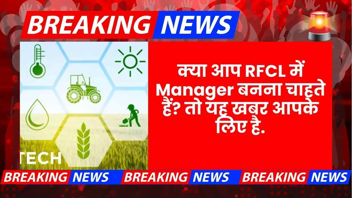 Rfcl Accountant Recruitment Experienced Professionals 2025